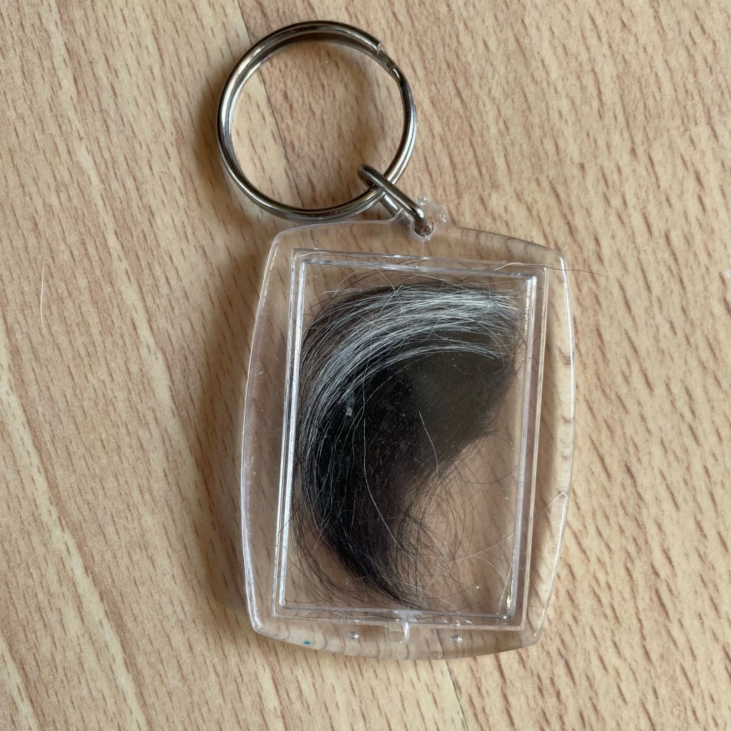 DIY kæledyrsminde - nøglering 